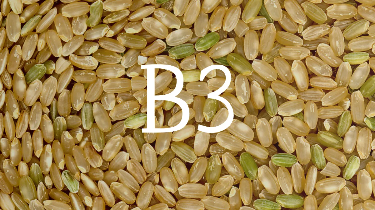 維生素 B3 （菸鹼酸）